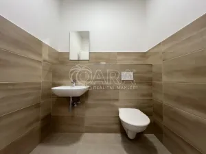 Pronájem kanceláře, Praha - Krč, Nová cesta, 122 m2