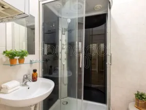 Prodej bytu 1+1, Praha - Holešovice, Jirečkova, 53 m2