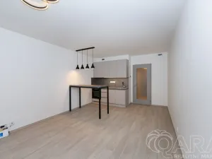 Prodej bytu 1+kk, Praha - Hloubětín, Poděbradská, 32 m2