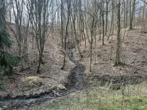 Prodej chaty, Nižbor - Žloukovice, 35 m2