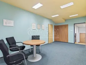 Prodej kanceláře, Praha - Petrovice, Novopetrovická, 1433 m2