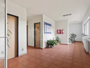 Prodej kanceláře, Praha - Petrovice, Novopetrovická, 1433 m2