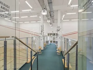 Prodej kanceláře, Praha - Petrovice, Novopetrovická, 1433 m2