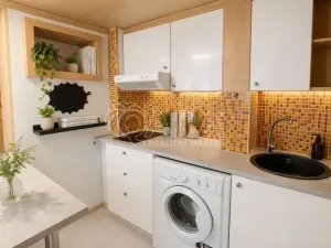 Pronájem bytu 1+kk, Praha - Nové Město, Školská, 30 m2