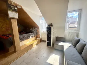 Pronájem bytu 1+kk, Praha - Nové Město, Školská, 30 m2