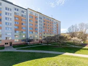 Prodej bytu 2+1, Opava, Černá, 43 m2
