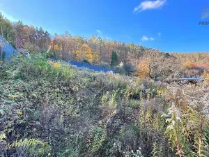 Prodej pozemku pro bydlení, Brno, Kopretinová, 1163 m2