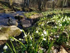 Prodej chaty, Skorotice, 48 m2