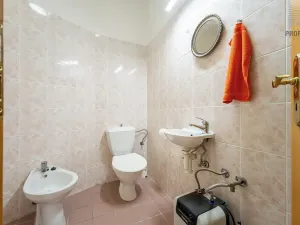 Prodej bytu 4+kk, Brno, Mojžíšova, 171 m2