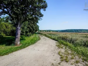 Prodej pozemku pro bydlení, Viničné Šumice, 1156 m2