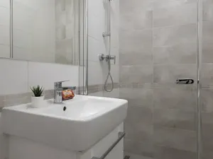 Pronájem bytu 2+kk, Ostrava, Československé armády, 55 m2