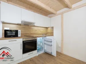 Pronájem bytu 1+kk, Ostrava, Palackého, 27 m2