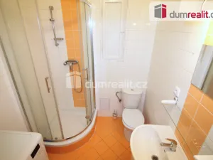 Pronájem bytu 1+kk, Praha - Smíchov, Moulíkova, 25 m2