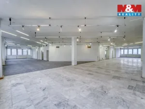Pronájem skladu, Plzeň - Severní Předměstí, alej Svobody, 641 m2