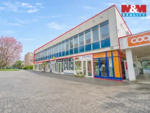 Pronájem skladu, Plzeň - Severní Předměstí, alej Svobody, 641 m2