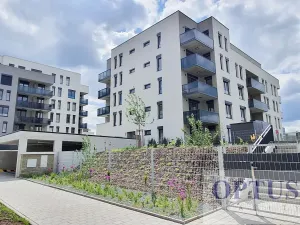 Pronájem bytu 3+kk, Praha - Hloubětín, Waltariho, 73 m2