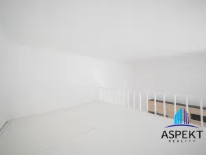 Pronájem bytu 1+kk, Praha - Vinohrady, Jana Masaryka, 32 m2