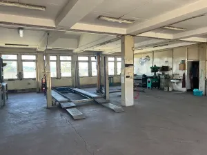 Pronájem obchodního prostoru, Losiná, 300 m2