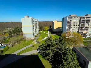 Prodej bytu 1+kk, Praha - Háje, Hekrova, 30 m2