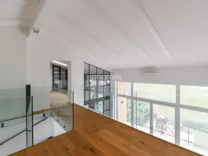 Pronájem bytu 5+kk, Praha - Bubeneč, Mlýnská, 235 m2