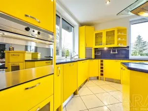 Pronájem rodinného domu, Dolní Břežany, V Úvozu, 380 m2