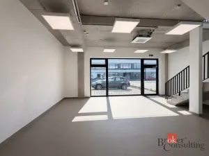 Pronájem výrobních prostor, Brno, Vinohradská, 444 m2