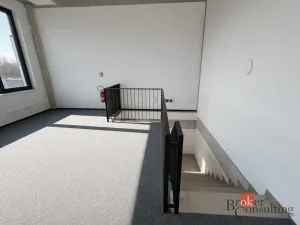 Pronájem výrobních prostor, Brno, Vinohradská, 444 m2