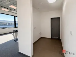 Pronájem výrobních prostor, Brno, Vinohradská, 444 m2