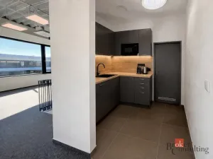 Pronájem výrobních prostor, Brno, Vinohradská, 444 m2