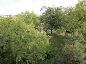 Pronájem bytu 3+kk, Praha - Žižkov, Pod kapličkou, 85 m2