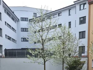 Prodej bytu 1+kk, Hranice, Jiřího z Poděbrad, 36 m2