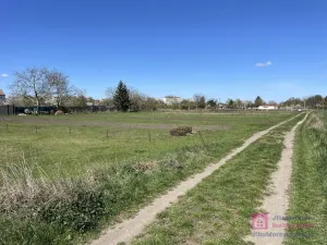 Prodej zahrady, Břeclav - Poštorná, 369 m2