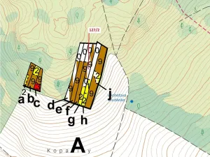 Dražba lesa, Cidlina, 1615 m2