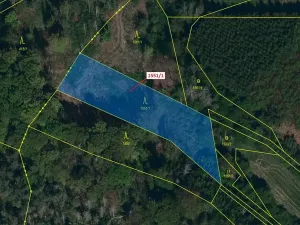 Dražba lesa, Přibyslavice, 2478 m2