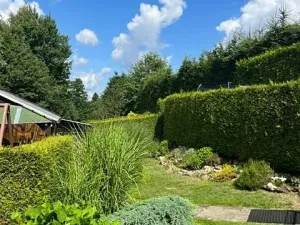 Prodej chalupy, Dlouhý Most, 60 m2