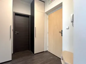 Pronájem bytu 2+kk, Brno, Vinařská, 55 m2