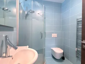 Pronájem bytu 2+kk, Brno, Vinařská, 55 m2