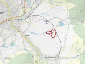 Prodej lesa, Nový Malín, 8466 m2