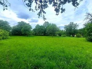 Prodej pozemku pro bydlení, Pecka, 1250 m2