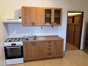 Pronájem bytu 1+1, Líně, U Mateřské školy, 58 m2