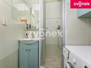 Prodej bytu 3+1, Otrokovice, Štěrkoviště, 62 m2