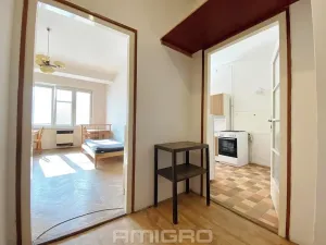 Pronájem bytu 1+1, Brno, Bayerova, 41 m2