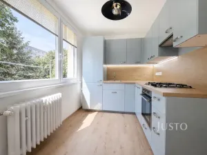 Pronájem bytu 2+1, Ústí nad Labem - Severní Terasa, Ladova, 62 m2