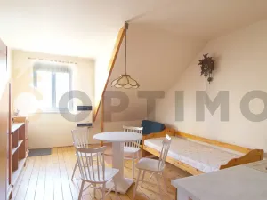 Prodej bytu 1+1, Praha - Žižkov, Na Balkáně, 69 m2