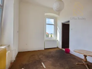 Prodej rodinného domu, Radovesice, 520 m2