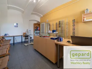 Prodej rodinného domu, Kynšperk nad Ohří, Jana Nerudy, 260 m2