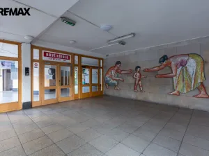 Pronájem bytu 2+kk, Litvínov - Horní Litvínov, Koldům, 53 m2