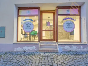 Pronájem obchodního prostoru, Louny, Pivovarská, 55 m2