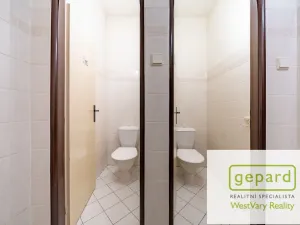 Prodej rodinného domu, Merklín, 279 m2