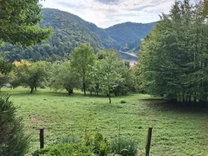 Prodej chaty, Štěchovice, 50 m2